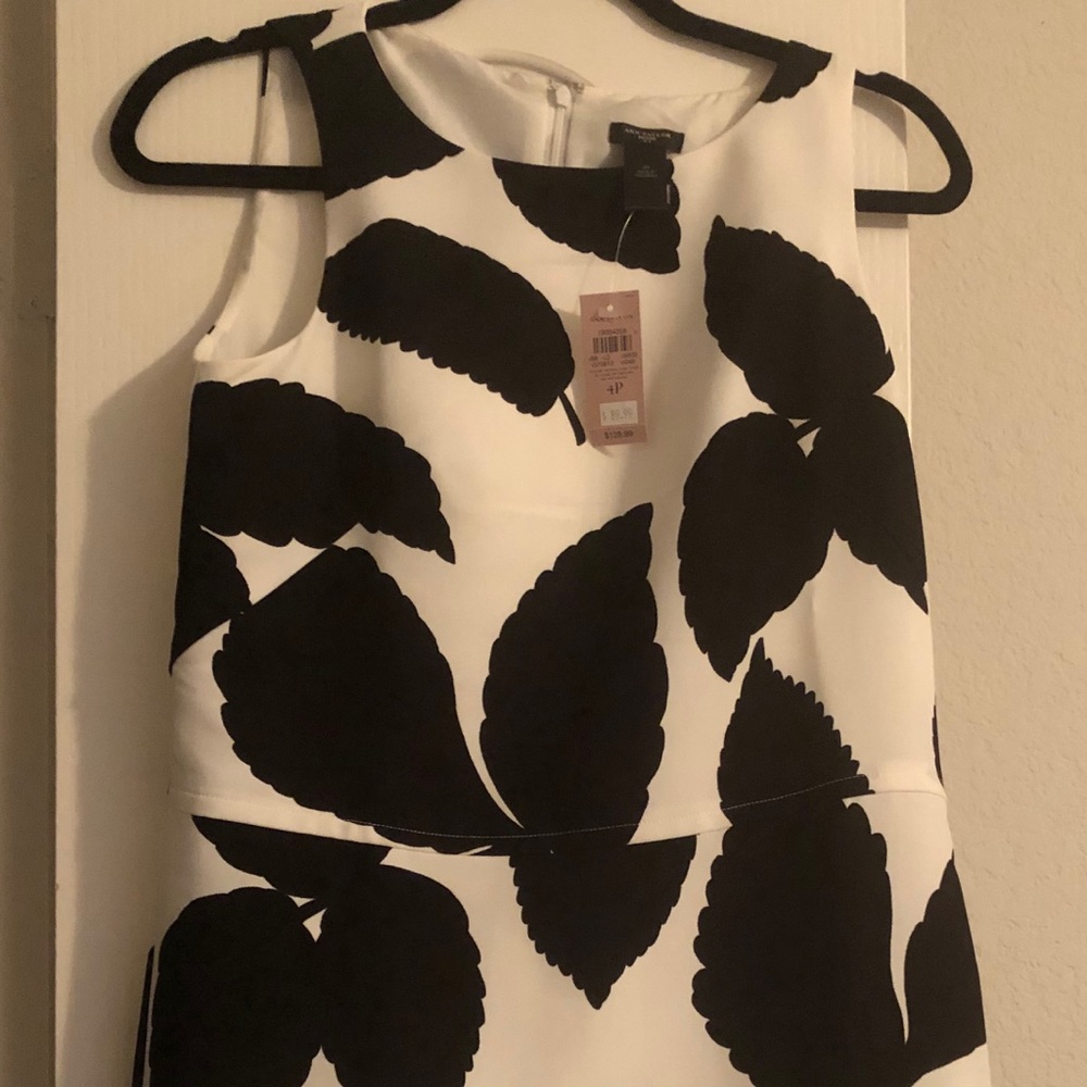 Ann Taylor Dress